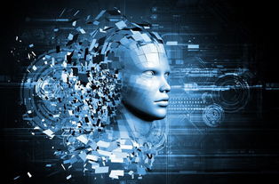 產業互聯網黃金期 蜘點解析數據運用，驅動互聯網銷售新未來